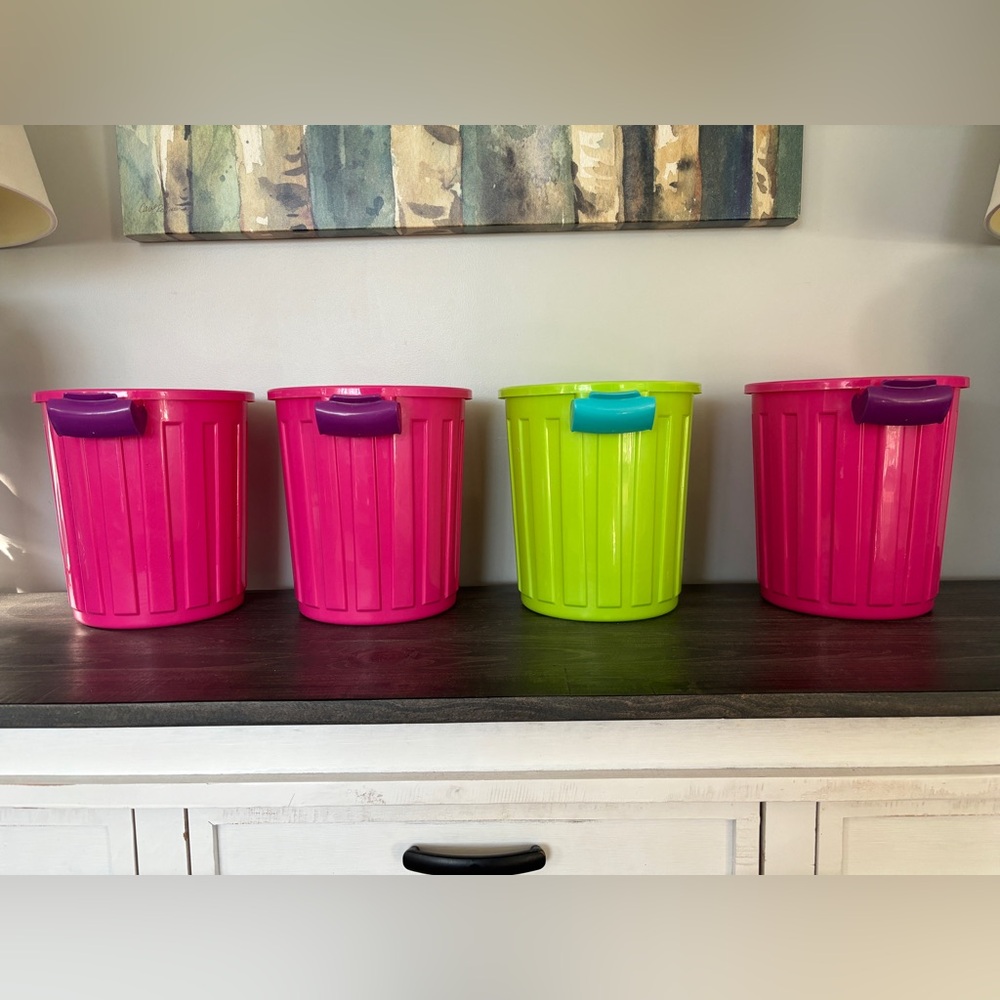 Colorful Plastic Storage Bins Set of 4